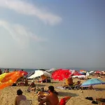 Doridas Kusadası