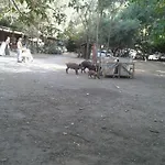 Hotel Doridas 3*