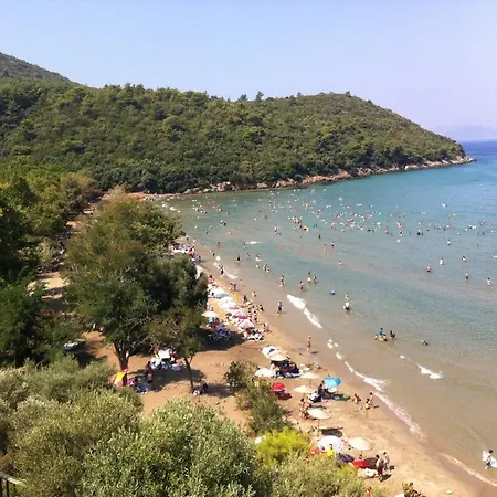 Doridas Kusadası